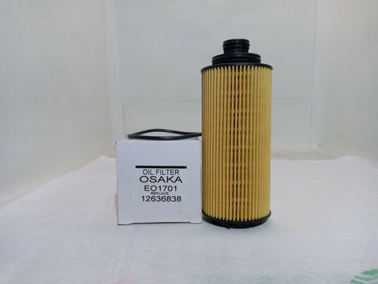 Picture of EO-1701 Oil Element