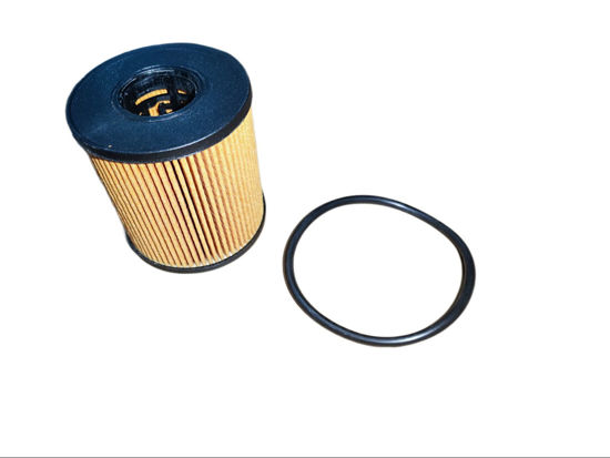 Picture of EO-1007 / O-1709 Oil Eco