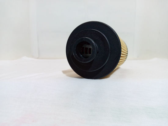 Picture of EO-1701 Oil Element