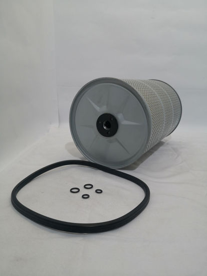 Picture of EO-561 Oil Element Type